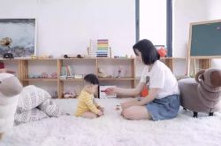 （10分钟教程）西双版纳傣族自治州人民政府公众信息网_哔哩哔哩-2